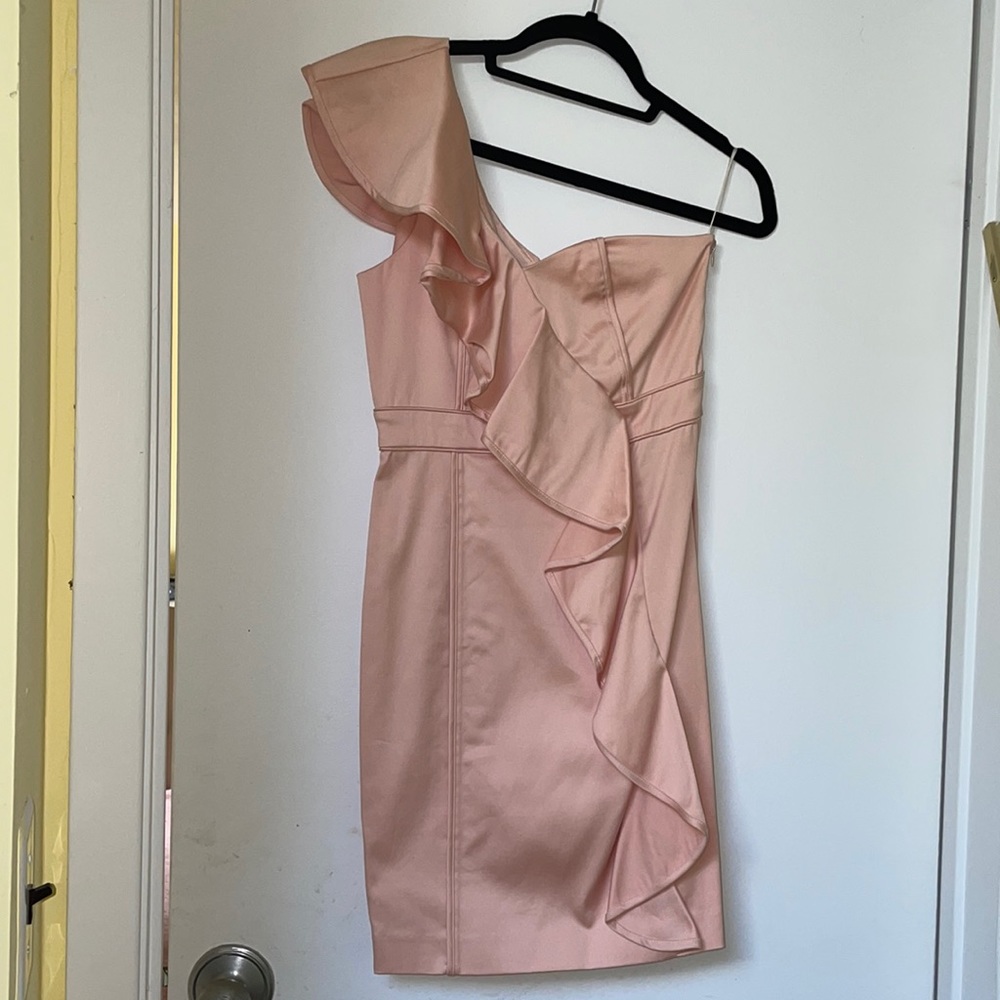 Cynthia Steffe brand new peach ruffle dress